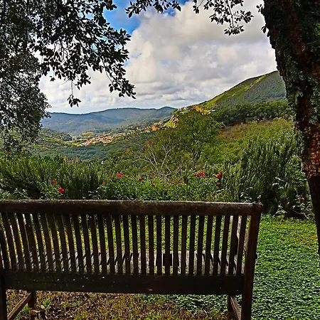 Guest house La Fronda 2*