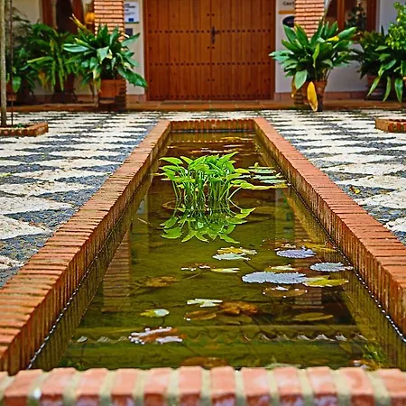 La Fronda Guest house 2*
