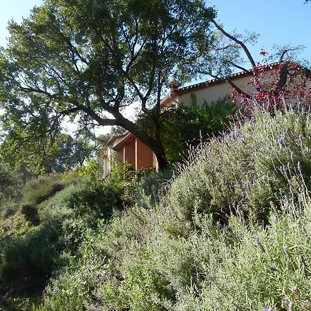 La Fronda Guest house 2*