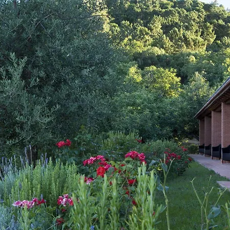 Guest house La Fronda 2*